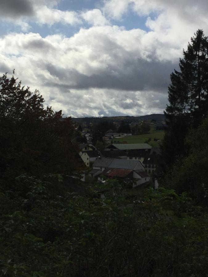 Ferienhaus Burggraf Kelberg Kültér fotó